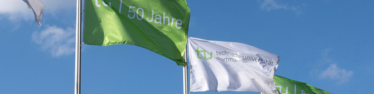 Flags Green and white flags with the inscription “TU 50 years“